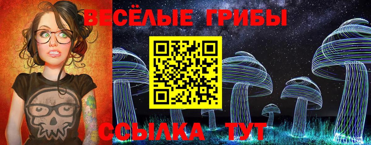 Галлюциногенные грибы мицелий  Вход с VPN  Шатура 